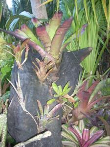 post-5709-079143500 1320393762_thumb.jpg