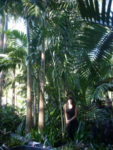 post-5709-083012200 1337033597_thumb.jpg