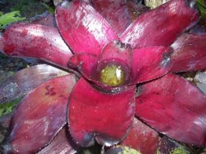 post-5709-086006400 1320655857_thumb.jpg