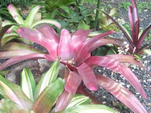 post-5709-087797800 1320459414_thumb.jpg