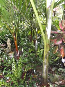 post-5709-088729100 1339808077_thumb.jpg