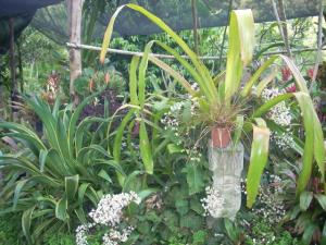 post-5709-093946600 1320534267_thumb.jpg