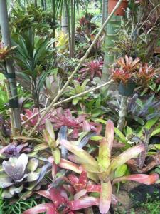 post-5709-095893400 1320393734_thumb.jpg