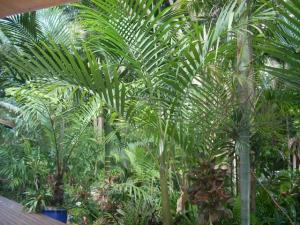 post-5709-097158700 1320393749_thumb.jpg