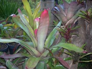 post-5709-098443500 1320393780_thumb.jpg