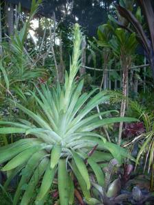 post-5709-099629700 1320394560_thumb.jpg