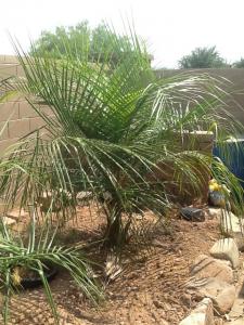 post-5751-0-33765400-1374637693_thumb.jp