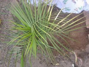 post-5751-064388700 1314205284_thumb.jpg