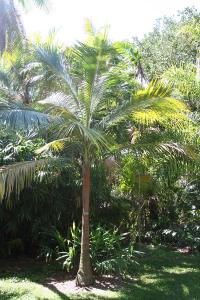 post-5788-002323800 1310995307_thumb.jpg