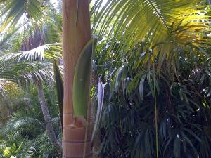 post-5788-007930500 1310995746_thumb.jpg