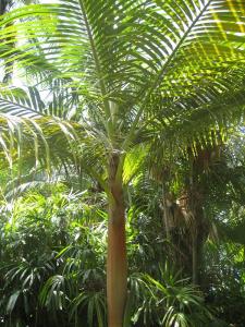 post-5788-040058500 1310995760_thumb.jpg