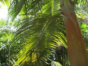 post-5788-056207100 1310995650_thumb.jpg