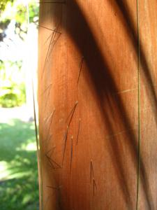 post-5788-080319000 1310994407_thumb.jpg