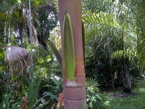 post-5788-094637400 1310995703_thumb.jpg