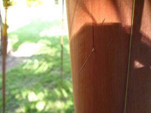 post-5788-094806000 1310994413_thumb.jpg