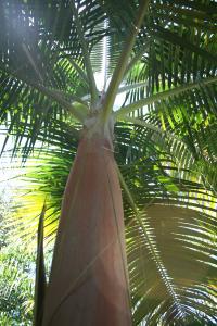 post-5788-099240200 1310995380_thumb.jpg