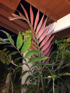 post-5835-0-35355200-1431890596_thumb.jp