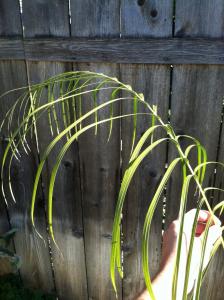 post-5835-035951200 1324656015_thumb.jpg