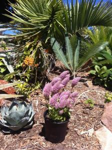 post-5836-0-59692500-1378243059_thumb.jp