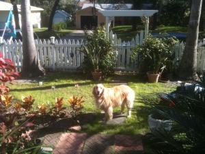 post-594-002952100 1316744029_thumb.jpg