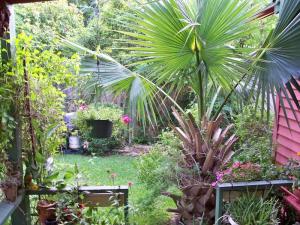 post-5966-0-24690000-1377029078_thumb.jp