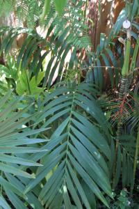 post-608-009740100 1312870880_thumb.jpg