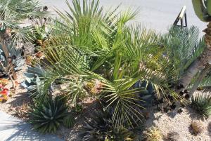 post-608-039343200 1312870851_thumb.jpg