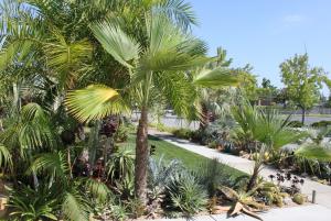 post-608-046688800 1312870003_thumb.jpg