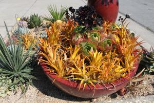 post-608-053670900 1312870028_thumb.jpg