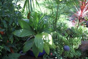 post-608-070646900 1312870869_thumb.jpg