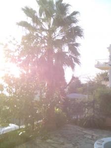 post-6141-0-05447900-1358717904_thumb.jp