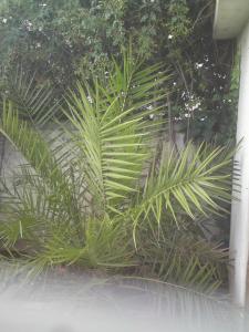 post-6141-0-06086200-1388910132_thumb.jp