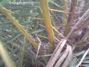 post-6141-0-06745100-1374584052_thumb.jp