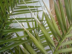 post-6141-0-25079100-1396267940_thumb.jp