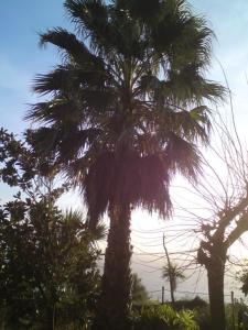 post-6141-0-48270500-1358717893_thumb.jp