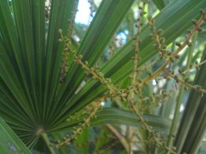 post-6141-0-62335700-1367403161_thumb.jp