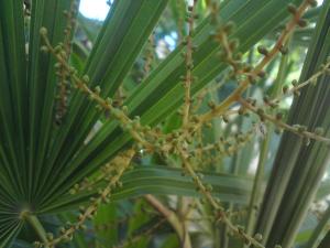 post-6141-0-63480300-1367403130_thumb.jp