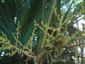 post-6141-0-92017500-1367403188_thumb.jp