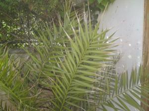 post-6141-0-96782500-1396267874_thumb.jp