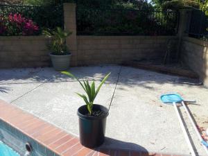 post-6188-0-02233200-1344703567_thumb.jp