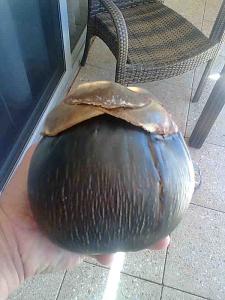 post-63-063811900 1314156724_thumb.jpg