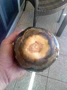 post-63-097486200 1314156733_thumb.jpg