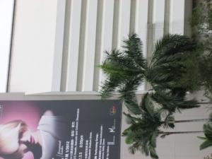 post-6384-000607700 1329390949_thumb.jpg