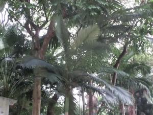 post-6384-013677400 1329391475_thumb.jpg