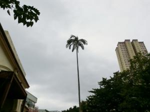 post-6384-026815700 1329148121_thumb.jpg