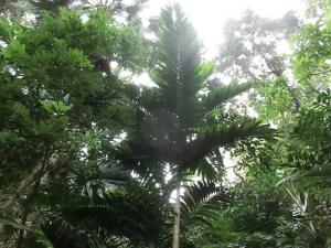 post-6384-029668700 1329468801_thumb.jpg