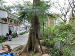 post-6384-035719800 1329881003_thumb.jpg