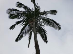 post-6384-035799700 1329148055_thumb.jpg