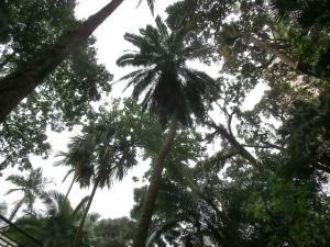 post-6384-047535200 1329391317_thumb.jpg