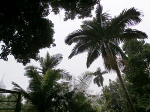 post-6384-047725900 1329468827_thumb.jpg